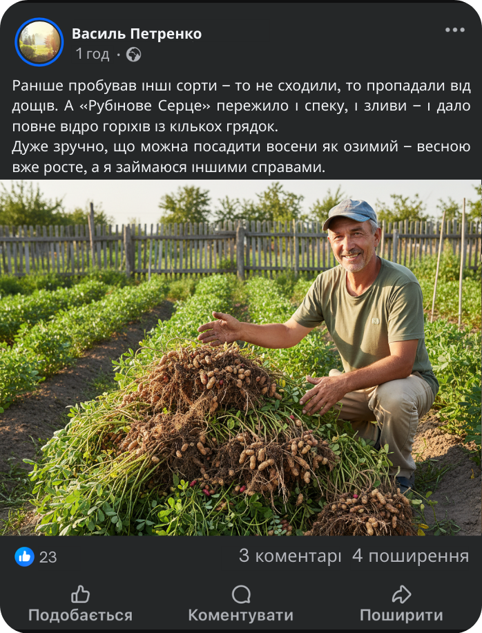 Заголовок